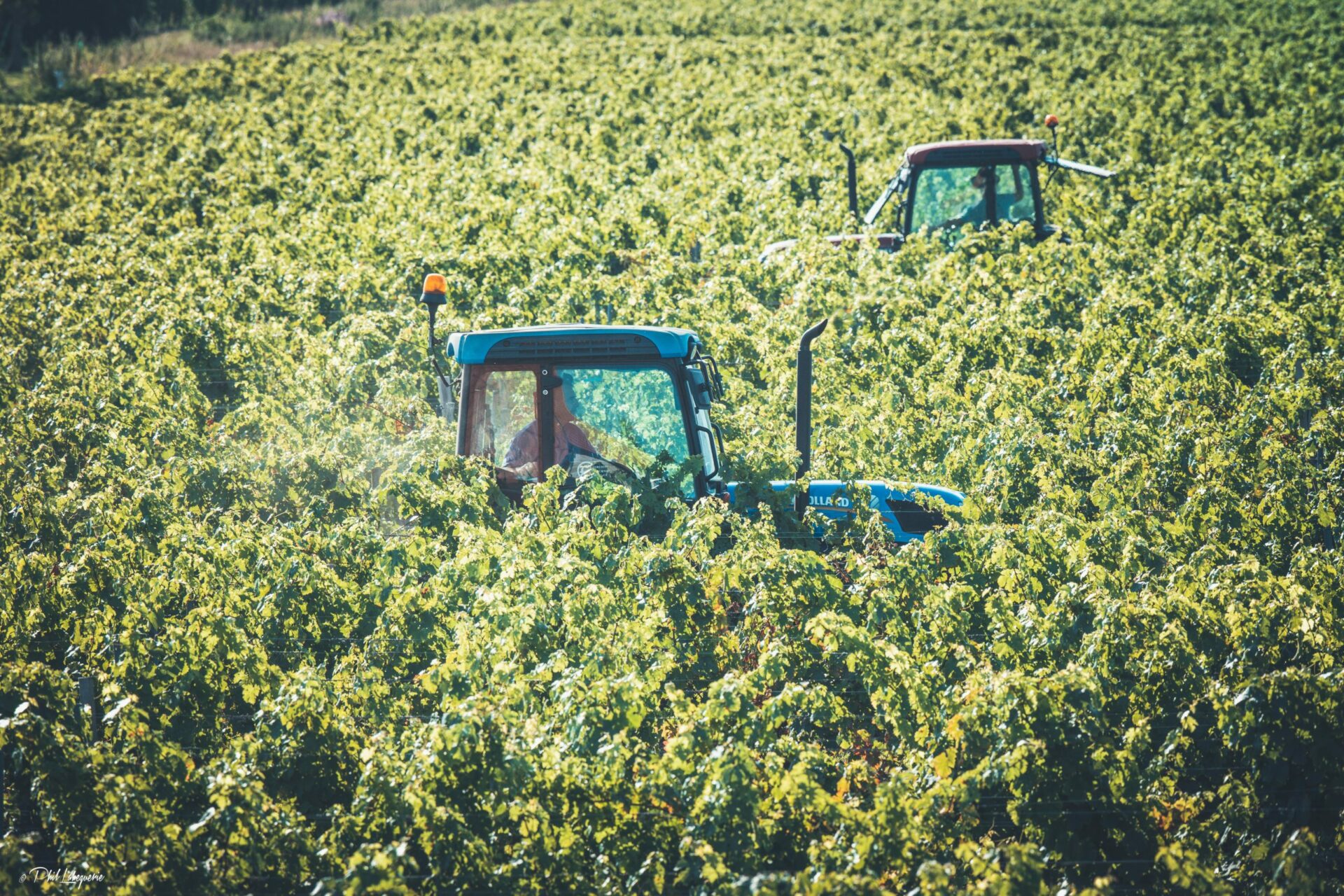 Château La Rose Pourret